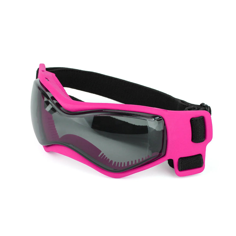Outdoor Pet Glasses