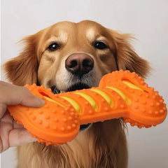 Interactive Pet Chewing Toy